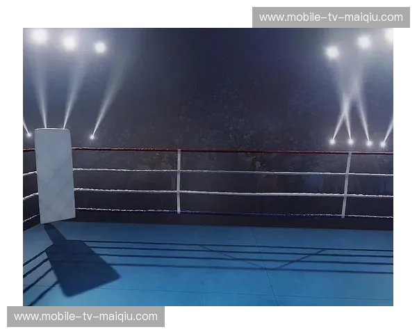 拳击下载：把线上的拳台带回家