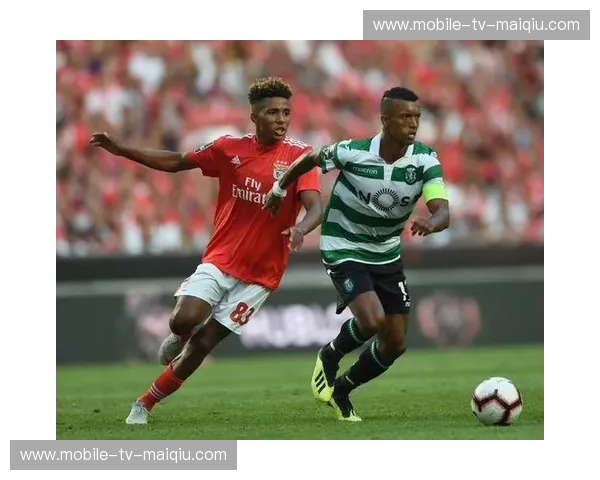 蓝龙之魂：在波尔图vs世界的博弈中，探寻永恒的信仰与巅峰对决